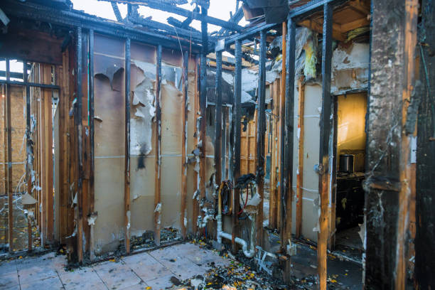 Professional Fire Damage Removal technician working in Mayo, SC